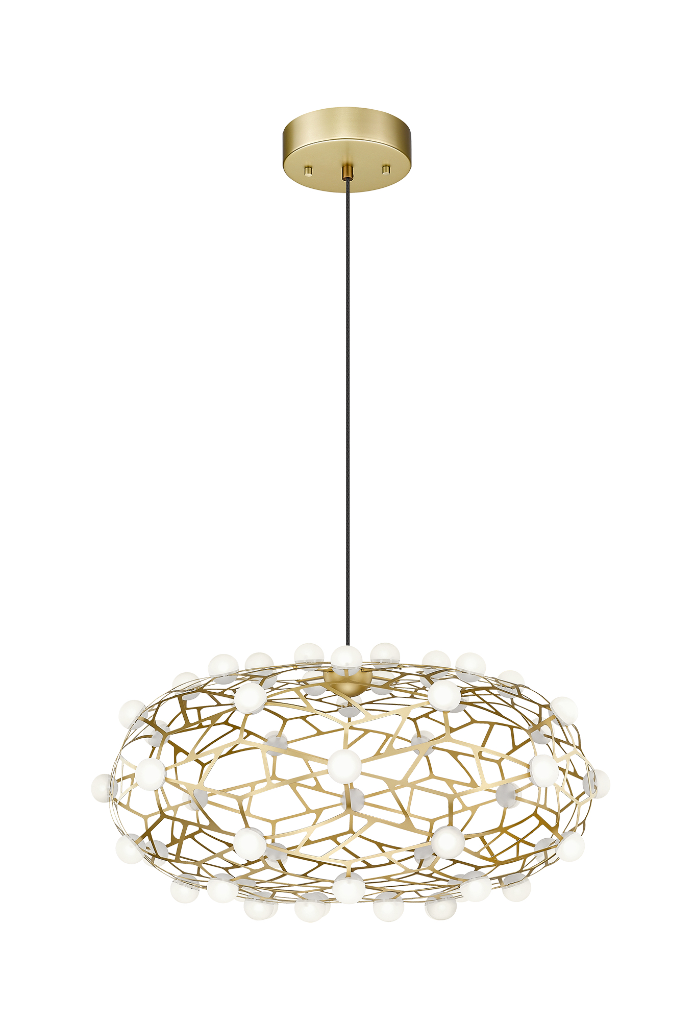 Luminaire suspendu CORAL C76324GL