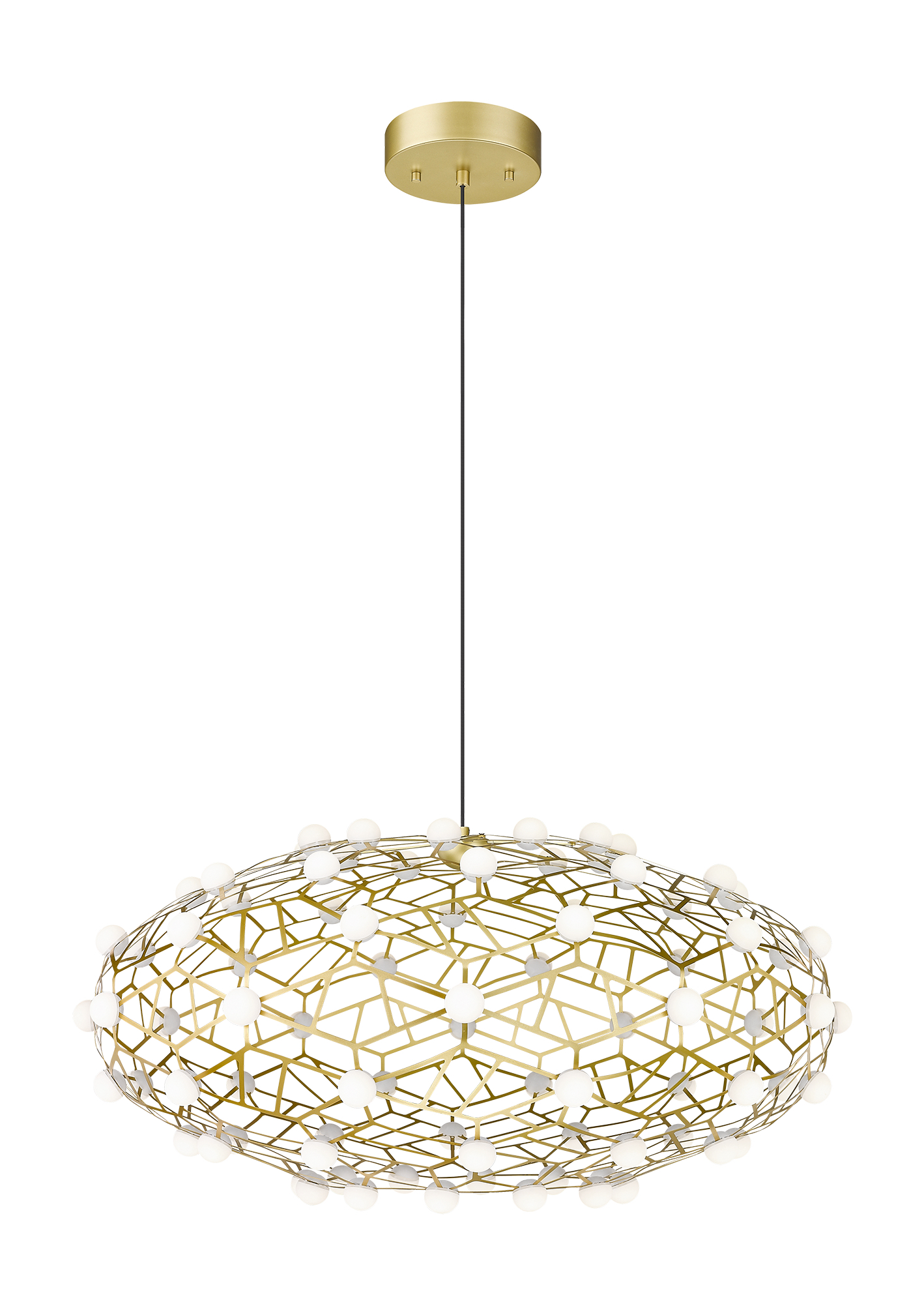 Luminaire suspendu CORAL C76330GL