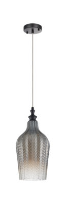 Luminaire suspendu RENITY C80101SM