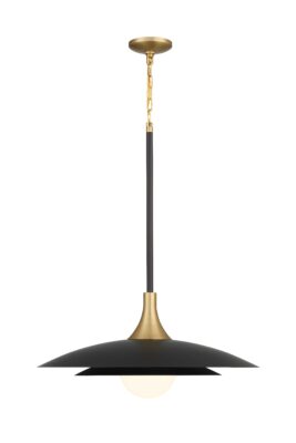 Luminaire suspendu WELSH 46785-046