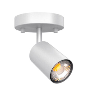Projecteur simple CK398A-1-WH