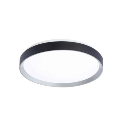 Plafonnier HUDSON DVP40248PL+MB