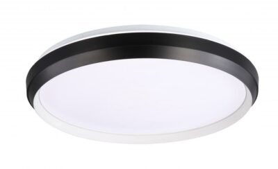 Plafonnier LABRADOR DVP42138MW+MB