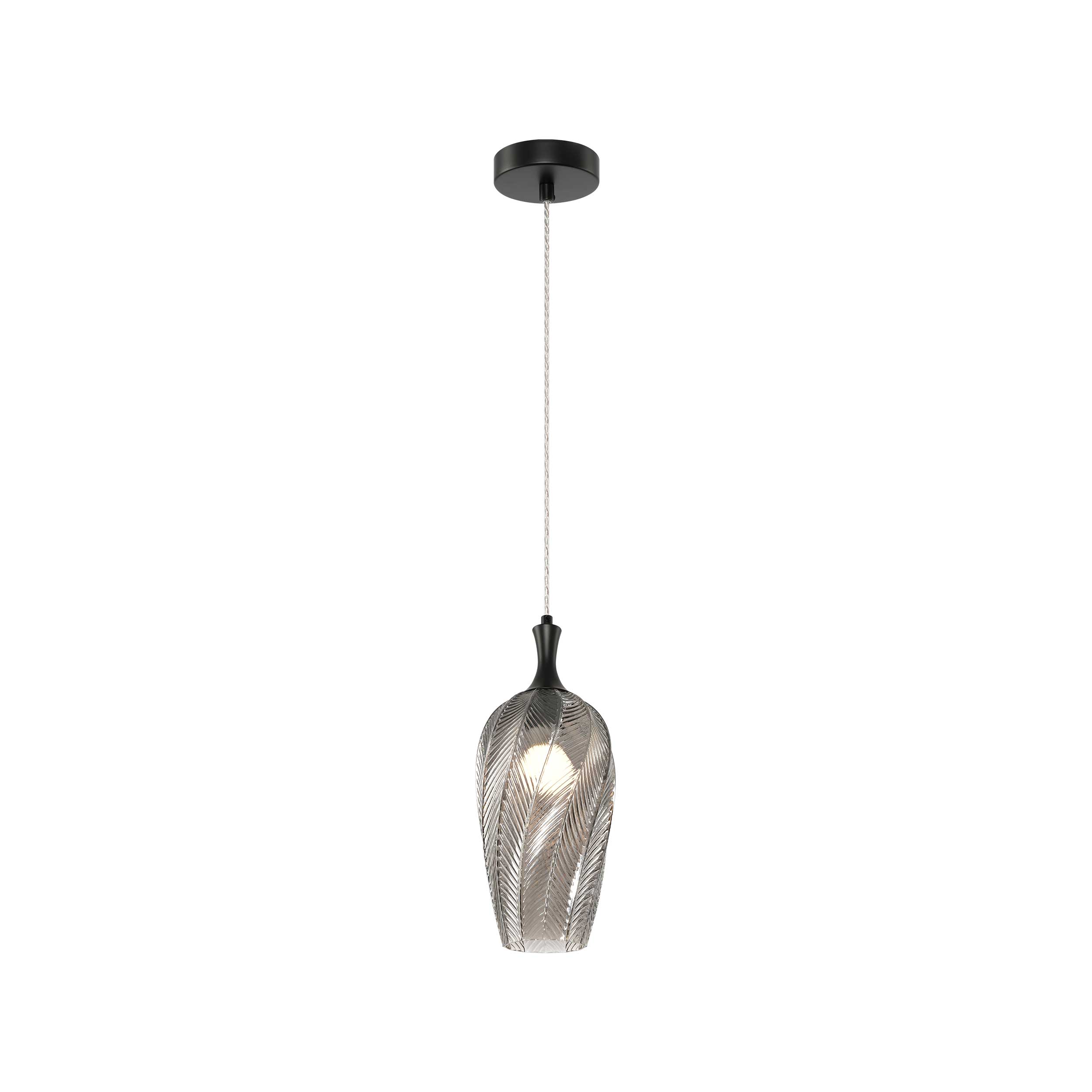 Luminaire suspendu EESHA C30901MBSM