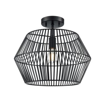 Plafonnier LADYSMITH DVP44512EB
