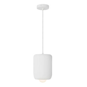 Luminaire suspendu HAYDEN PD68507-AW-UNV
