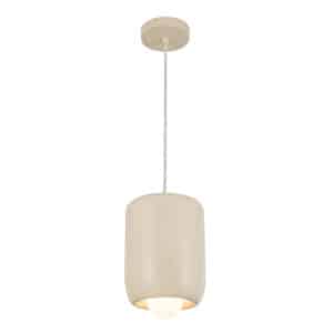 Luminaire suspendu HAYDEN PD68507-PW-UNV