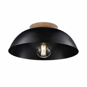 Plafonnier BERGEN DVP36842EB+NW