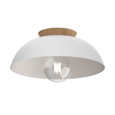 Plafonnier BERGEN DVP36842MW+NW